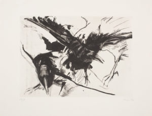 Crows, 2006. Etching. 56 x 76 cm. Edition 18 of 30. United Kingdom.
